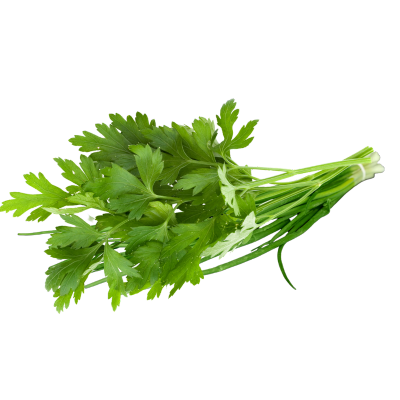 Cheiro Verde Orgânico